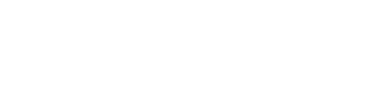 Logo white
