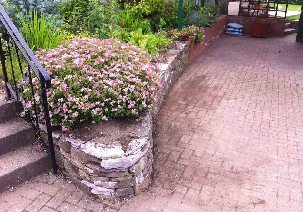 Garden pic 4
