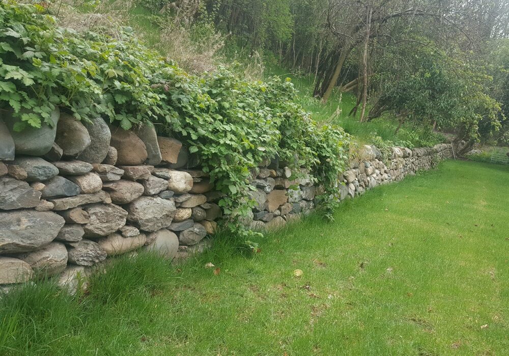 Stone walls pic 1